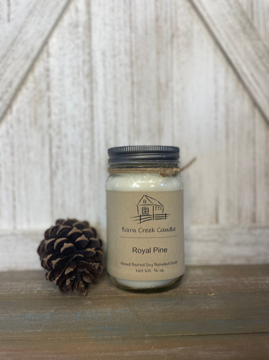 Royal Pine